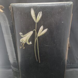 Oud fotoalbum/Prentenboek