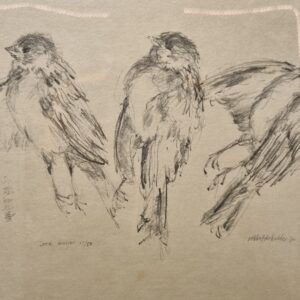 3 mussen van Robbert Bakker