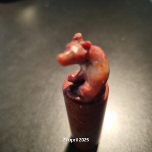 Handgesneden Zegelstempel met Varken