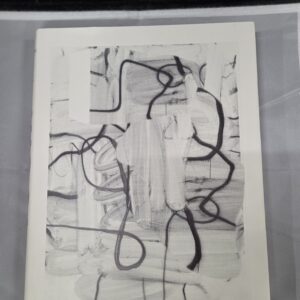 12480 Christopher Wool - Grote Taschen Monografie (2012)