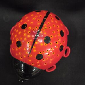 13719 Lieveheersbeestje Sterrenprojector Nachtlamp